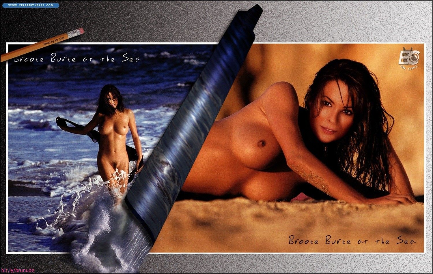 Here are the Brooke Burke nudes you’ve been looking for. 