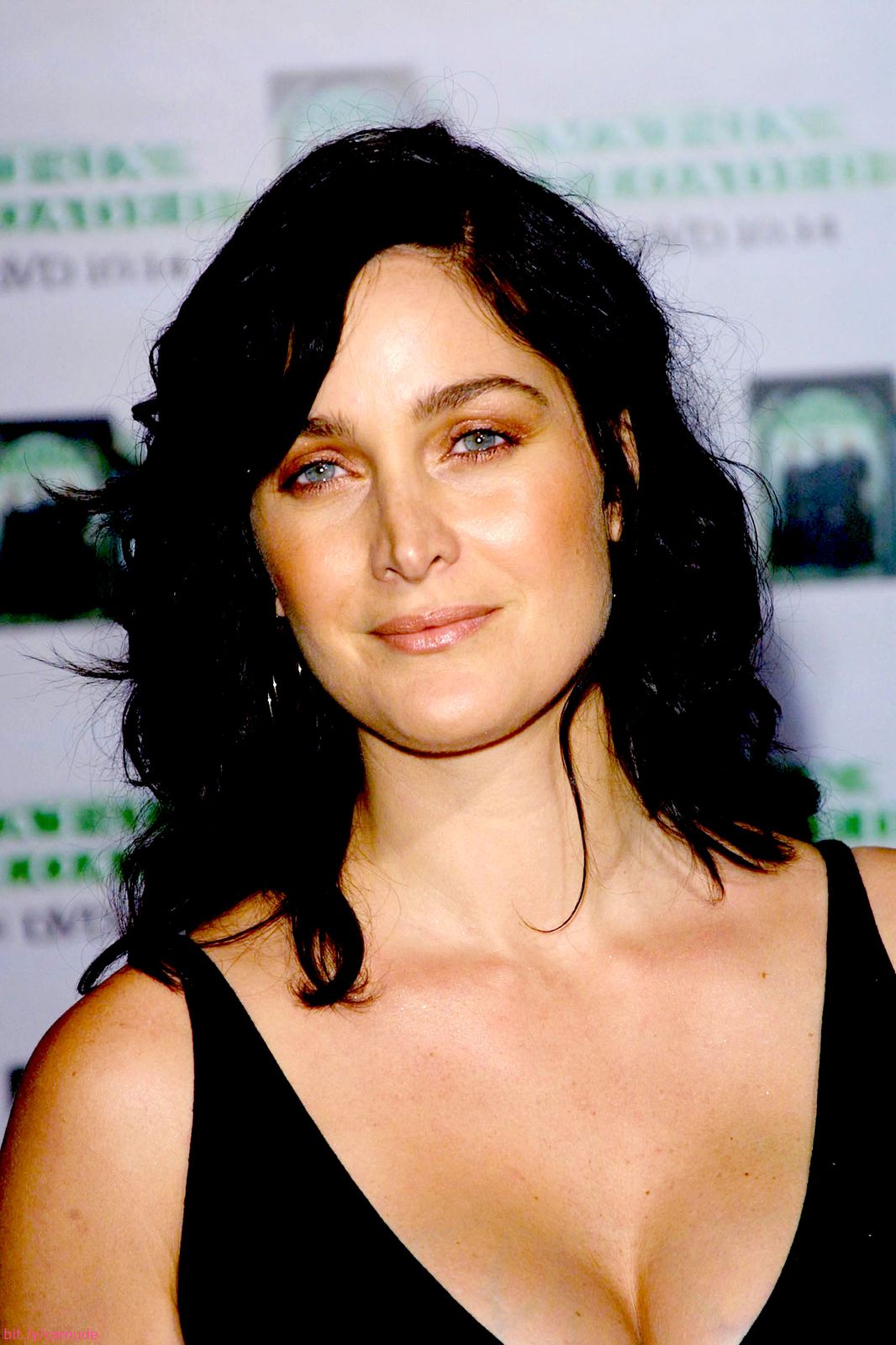 Carrie anne moss sexy pics