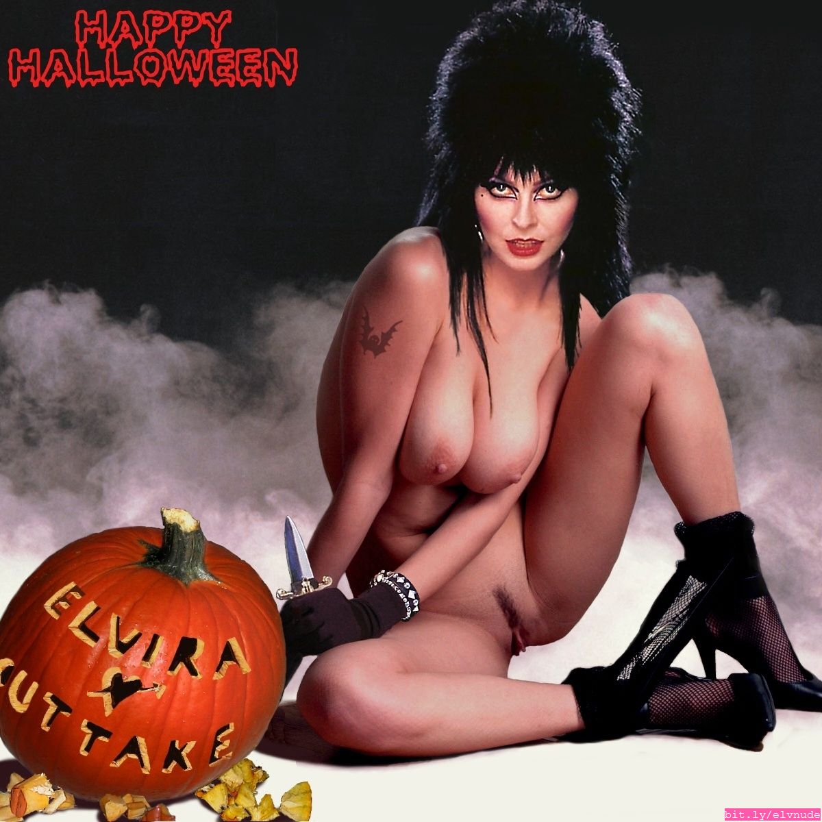 These pictures are the result of huge Elvira fans with some technical skill...