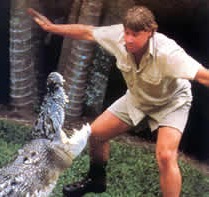 Steve Irwin Crocodile Hunter dies killed stingray