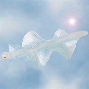 skyfish.jpg
