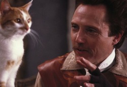Christopher Walken plays a cat in puss in boots